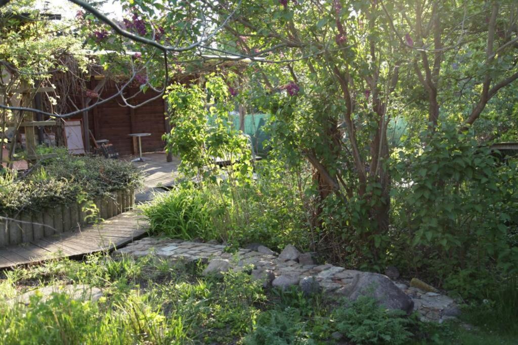 Ferienwohnung In Peetzig Am See Angermunde Kültér fotó
