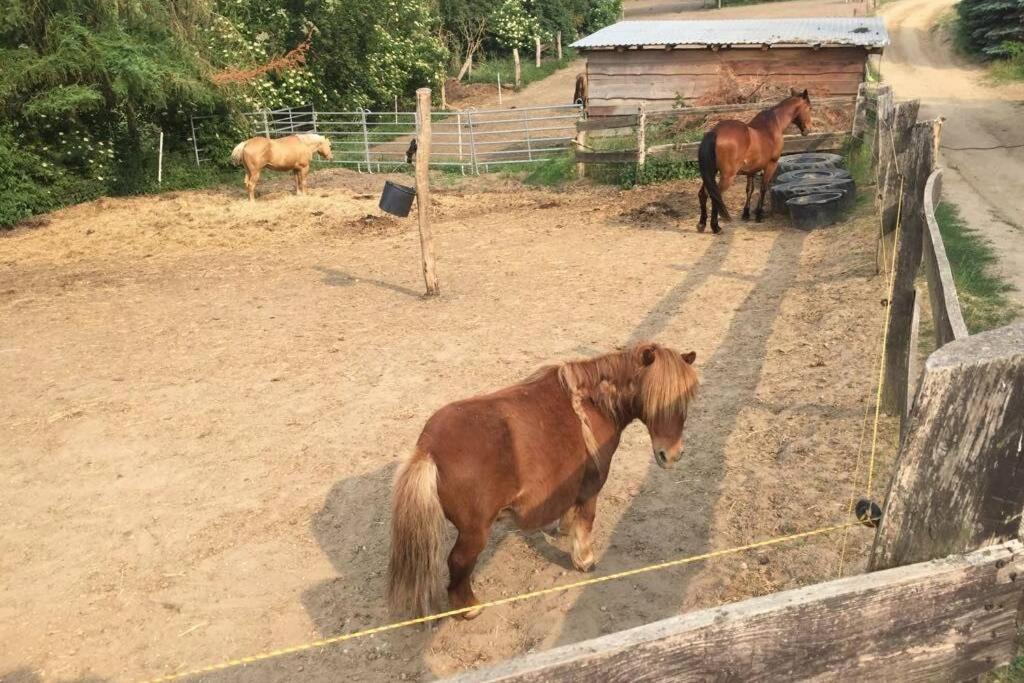Ferienwohnung In Peetzig Am See Angermunde Kültér fotó