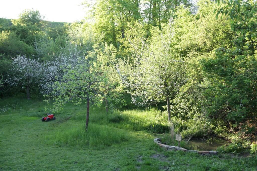 Ferienwohnung In Peetzig Am See Angermunde Kültér fotó